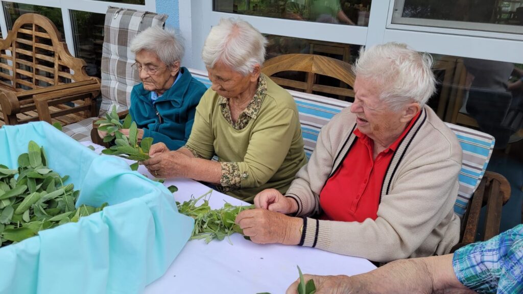 9f804abf-8ccb-4045-986b-bc1d8b388a30 2