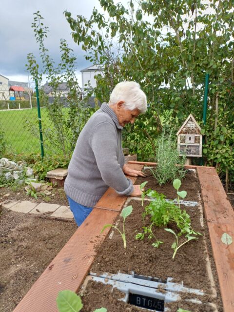 a3297cdc-d2d5-4c69-be1c-88542450f77c