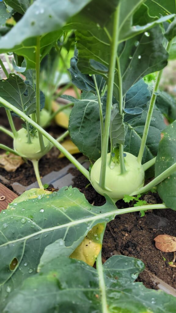 bc7ccadb-1fd7-417d-852a-d8595757e77e