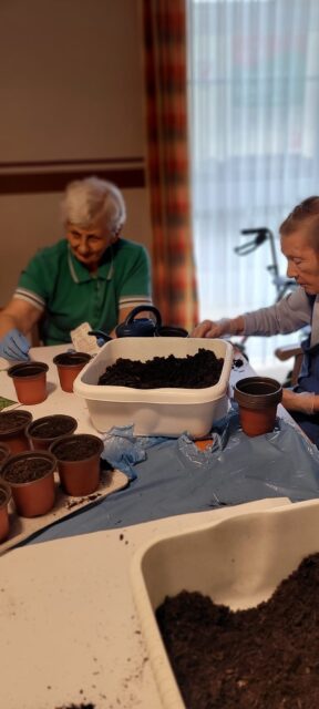 33ef7a18-6522-48ed-abab-87dba555d309